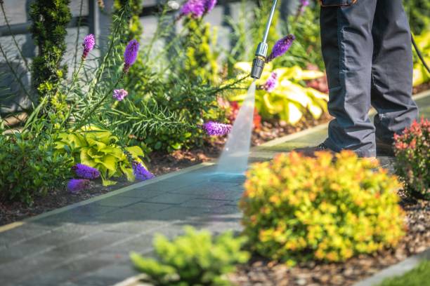 Best Dumpster Area Cleaning  in Pitola, CA