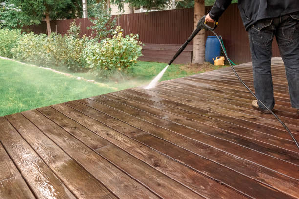 Best Pool Deck Cleaning  in Pitola, CA