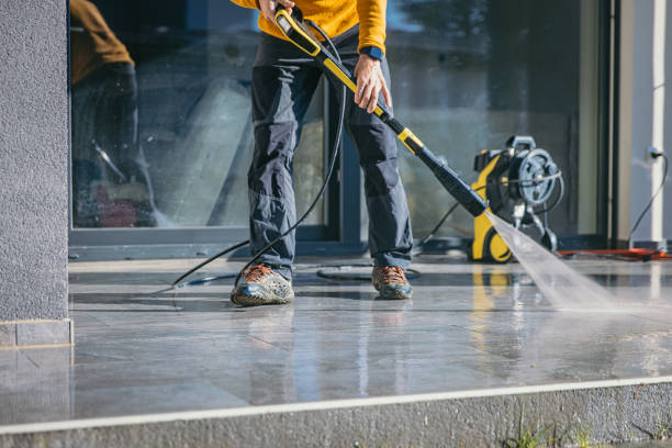 Best Driveway Pressure Washing  in Pitola, CA