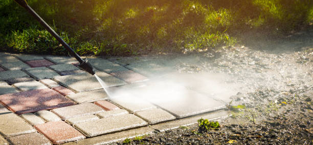 Best Animal Enclosure Cleaning  in Pitola, CA